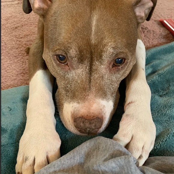 Meet your Posher, Cynny - Picture 1 of 1